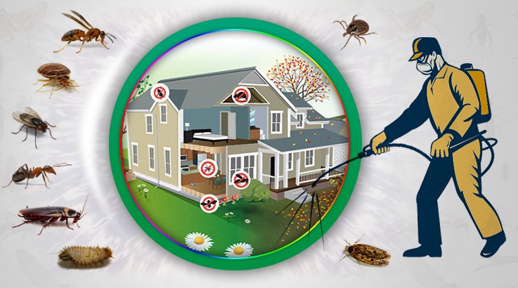 Bahçe Böcek İlaçlama