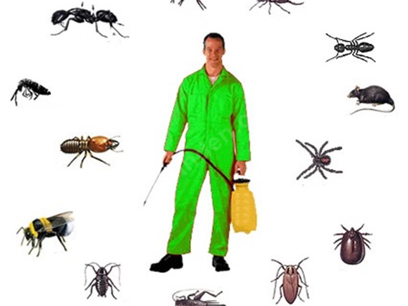 Bahçe Böcek İlaçlama